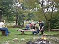 Piknik 2006